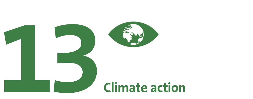 SDG 13: Climate action.