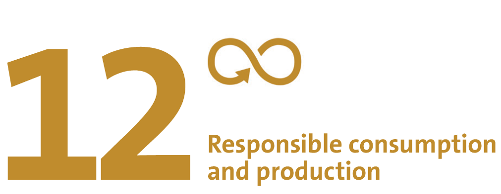 SDG 12: Re­spon­si­ble con­sump­tion and production.