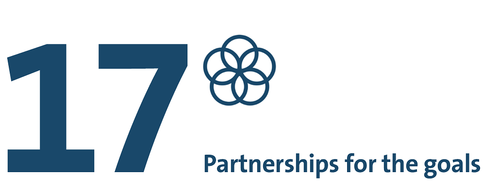 SDG 17: Partnership for the goals.
