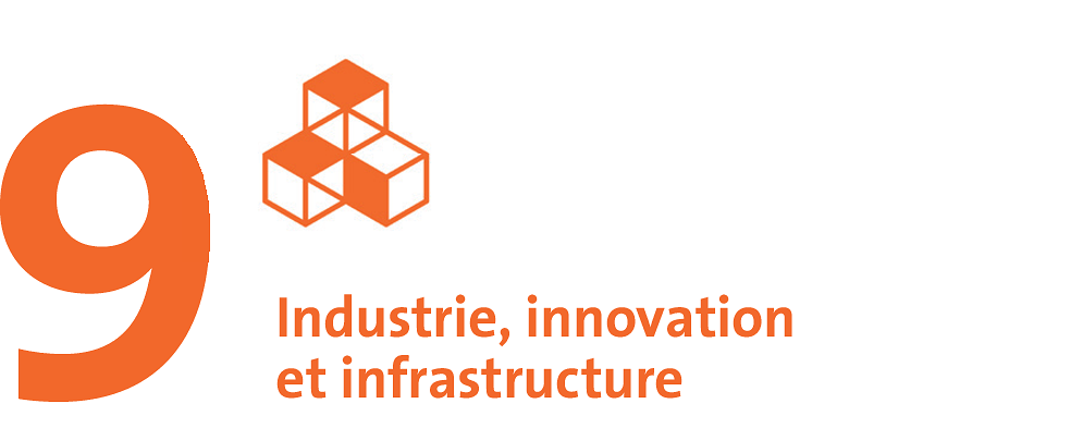 SDG 9: Industrie, innovation et infrastructure.