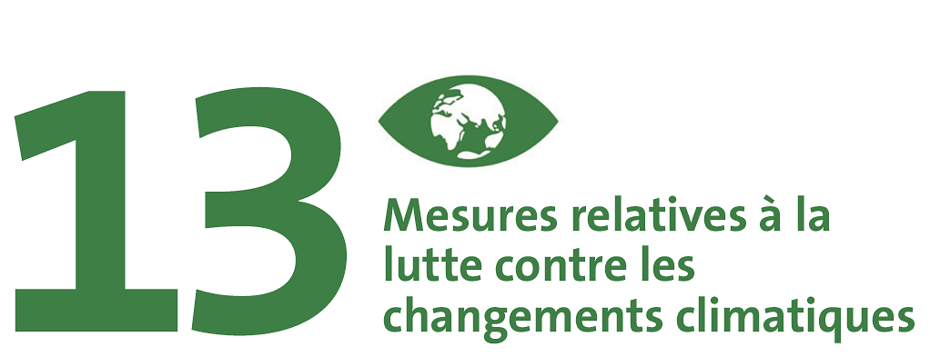 SDG 13: Mesures relatives à la lutte conre les chan­ge­ments climatiques.