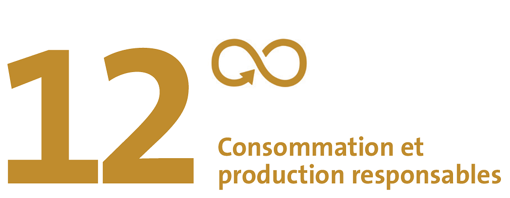 SDG 12: Consommation et production res­pon­sables.