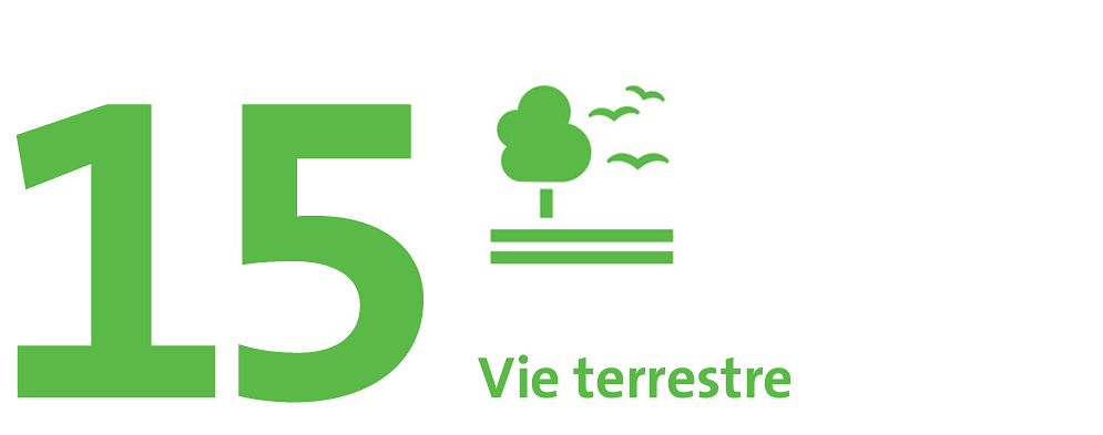 SDG 15: Vie terrestre.